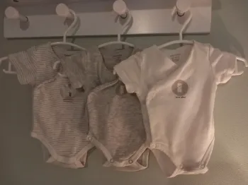 Lot 3 bodies obaïbi