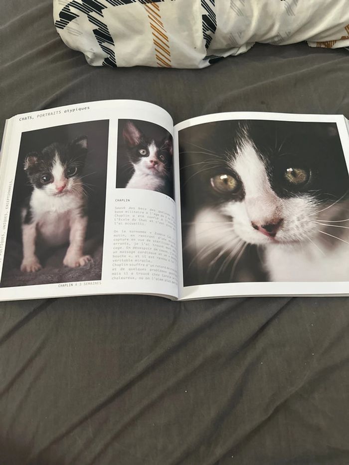 Livre - photo numéro 3