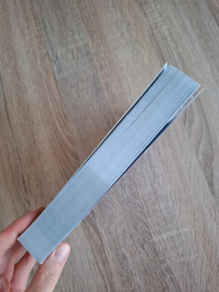 Mille et un coup de folie, livre de Flora Stark - photo numéro 11