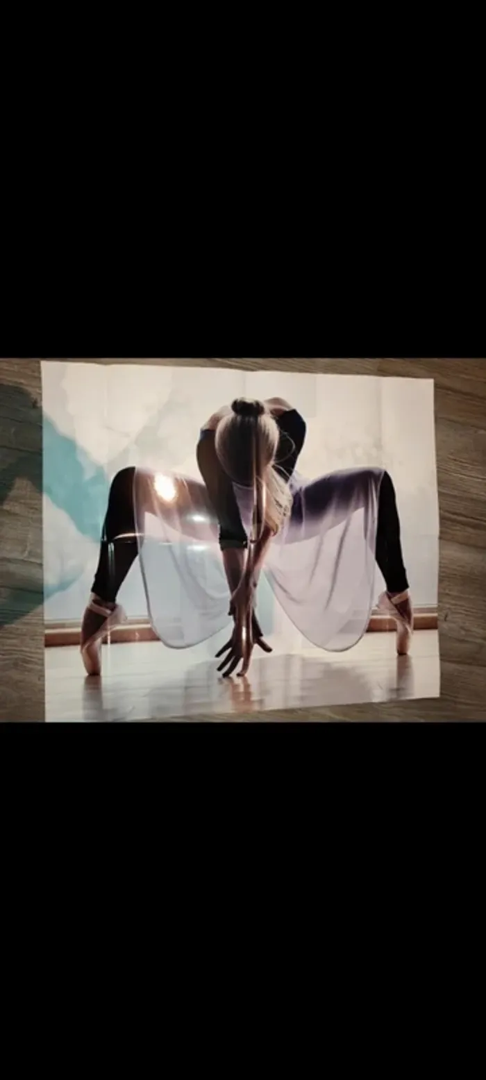 Livre sur la danse - photo numéro 3