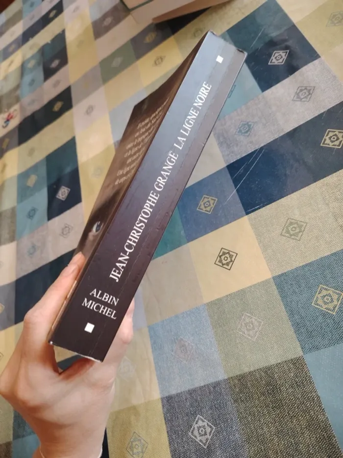 Livre La ligne noire - photo numéro 4