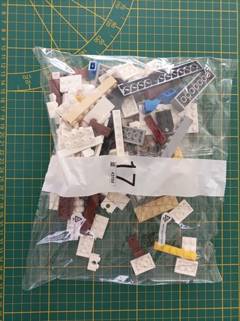 Sachet numéro 17 n°17 complet pour le set Lego Icons 10294 Le Titanic