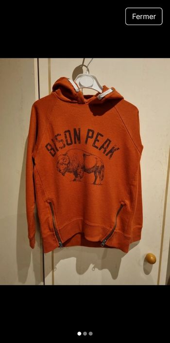 Sweat à capuche