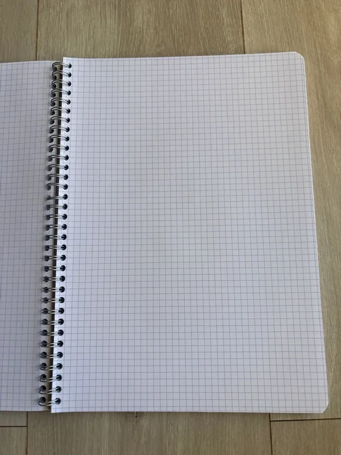 Grand cahier Conquerant - photo numéro 2