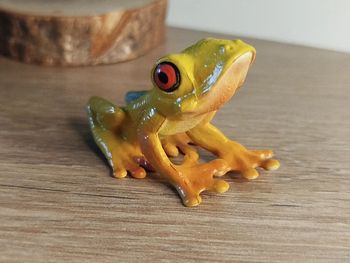 Figurine grenouille venimeuse jaune Animal de la campagne