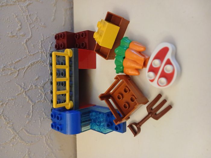 DUPLO Lego Zoo - photo numéro 6