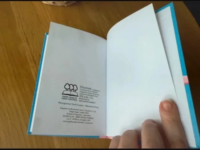 Livre Bibliothèque rose Souvenirs d'enfance Cendrillon - photo numéro 10