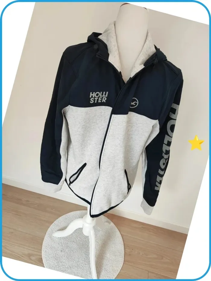 Veste homme Hollister