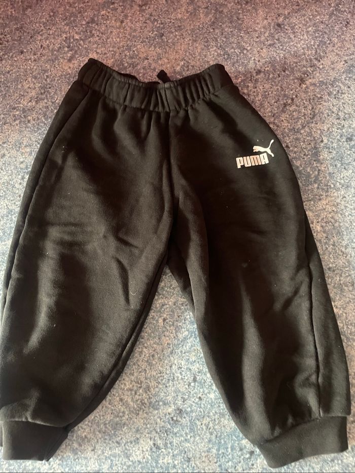 Ensemble puma - photo numéro 2