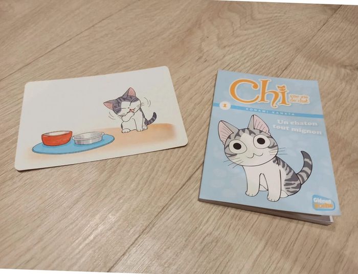 Chi une vie de chat