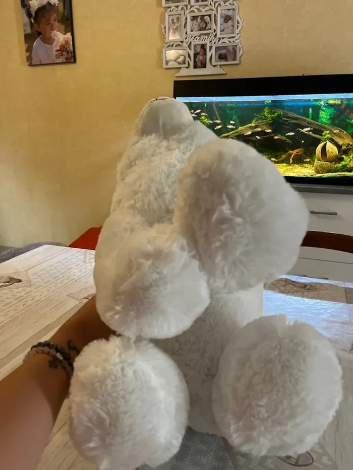 Peluche - photo numéro 6