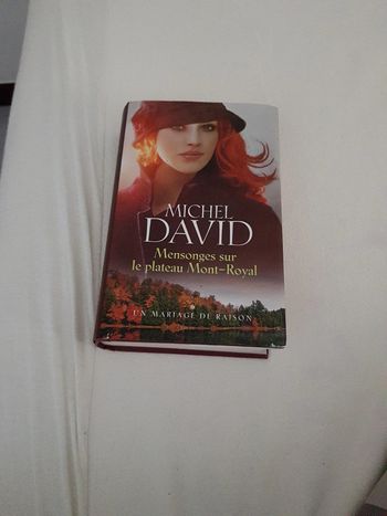 Michel David - Mensonges sur le plateau Mont Royal