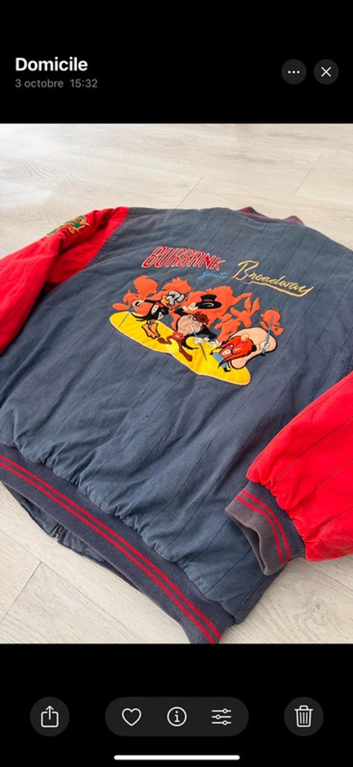 Veste Looney Tunes - photo numéro 17