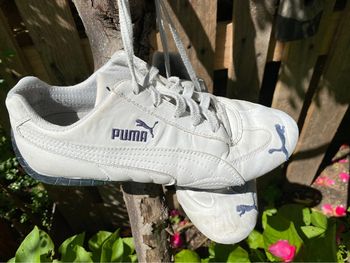 Baskets lacées Puma