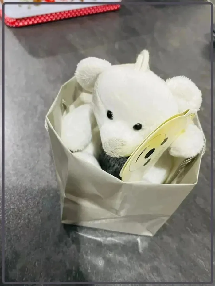 Doudou peluche - photo numéro 5