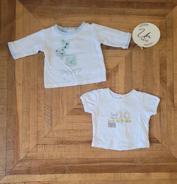 Lot de 2 tee shirt vertbaudet