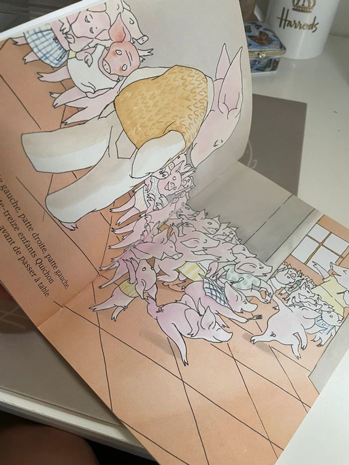 L’Animal domestique d'Hermès Quichon - école des loisirs - photo numéro 3