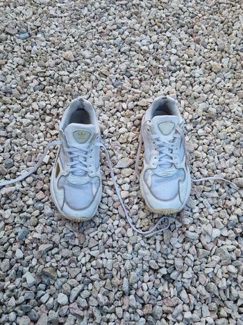 Basket adidas torsion