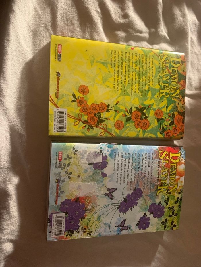 Mangas - photo numéro 2