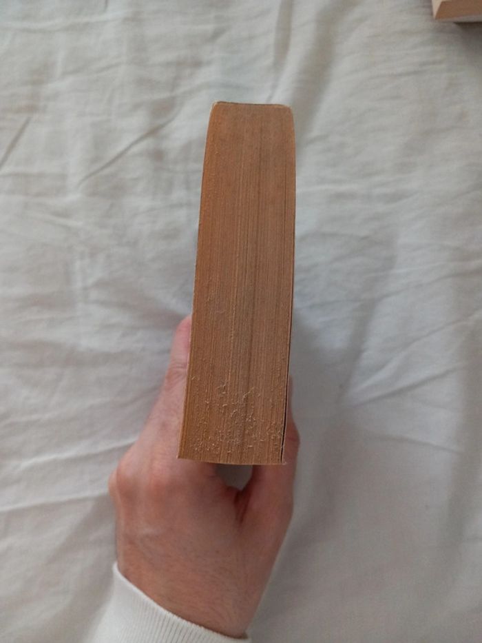 Le fléau 3 - photo numéro 5