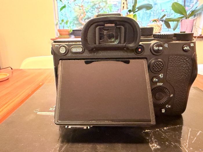 Sony alpha A7R IV - photo numéro 4