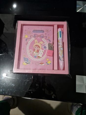 Carnet secret et son stylo