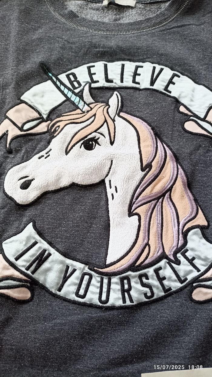 Pull 38 licorne gris - photo numéro 2