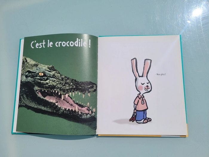 Livre 🐇 Le Crocolion 🐊 Éditions Thierry Magnier - photo numéro 6