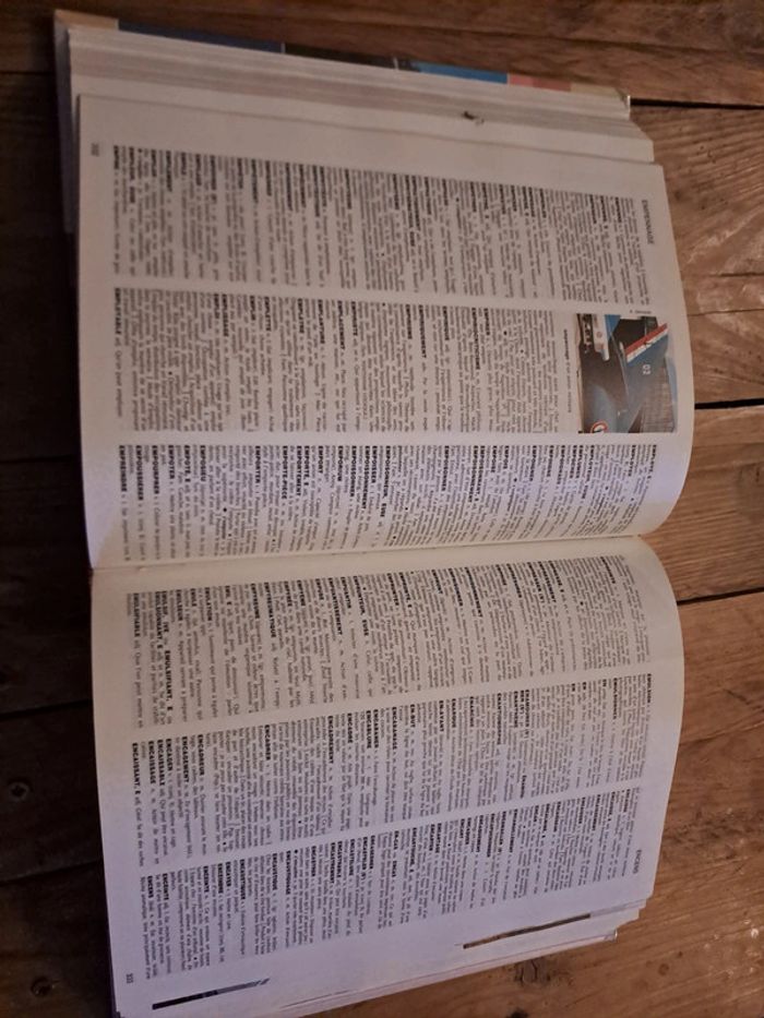 Dictionnaire Larousse des Noms Communs - photo numéro 3