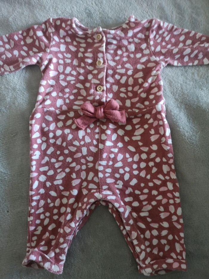 Combi 62 cm - photo numéro 3