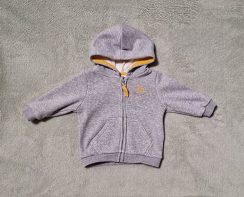 Sweat à capuche gris TAO 6 mois, très bon état