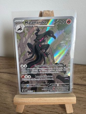 Malamandre héros transcendants Pokémon 