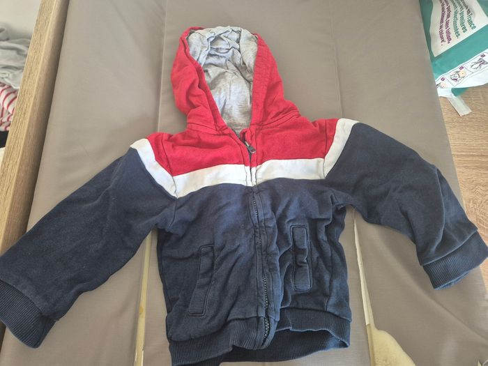 Veste a capuche