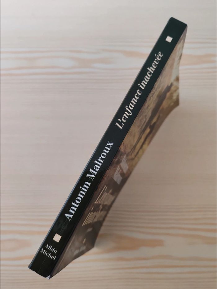 Antonin Malroux 🌸 L'enfance inachevée - photo numéro 3