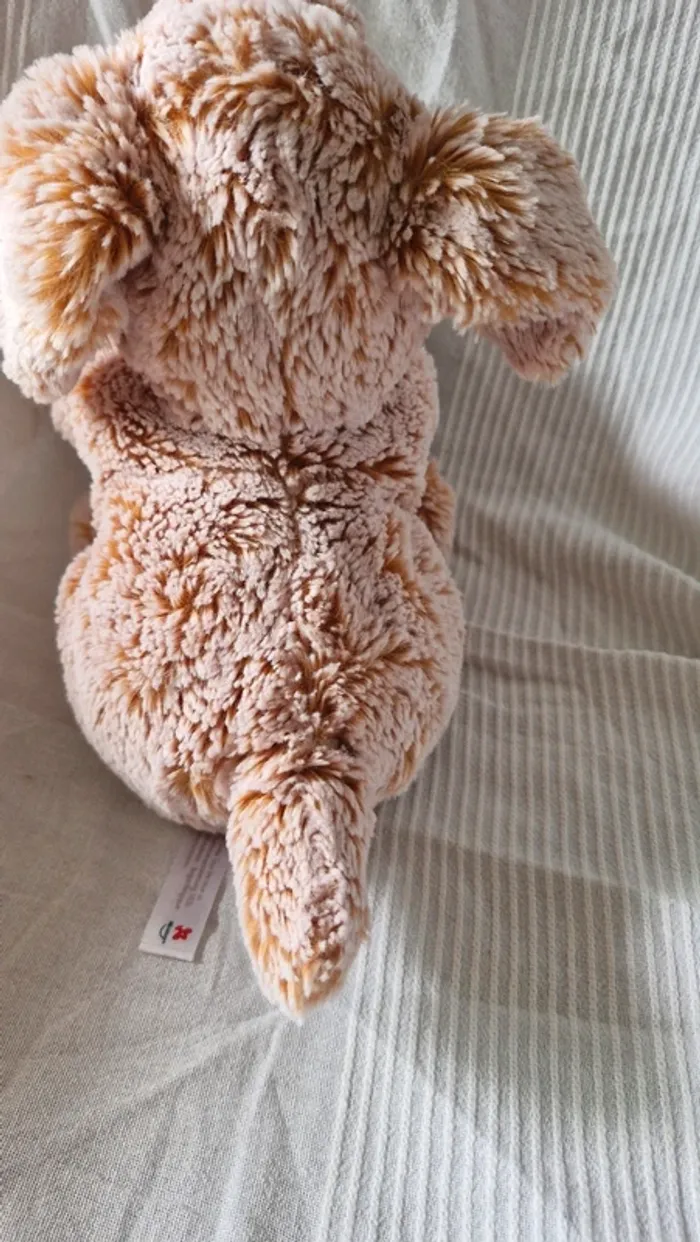Chien simba - photo numéro 7
