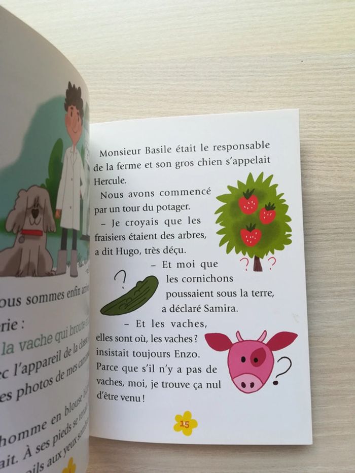 Livre "L'année de Jules : notre grande sortie du mois" - V92B - photo numéro 2