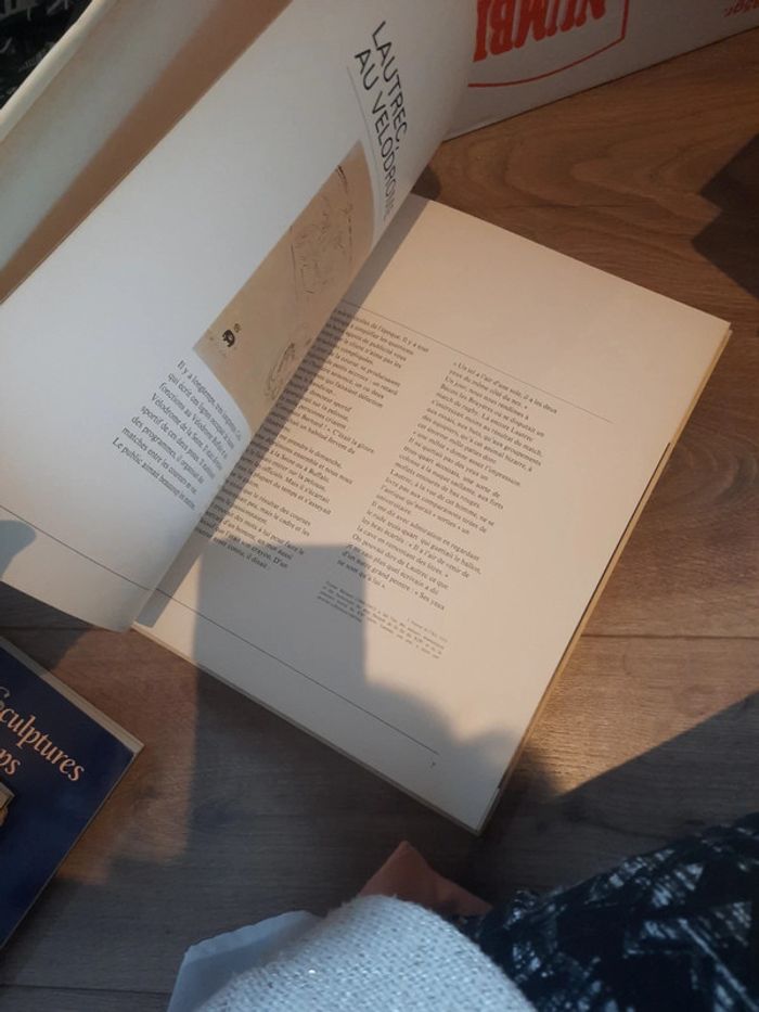 Livre art les impressionniste p j - photo numéro 7