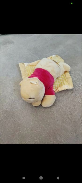 Peluche Winnie