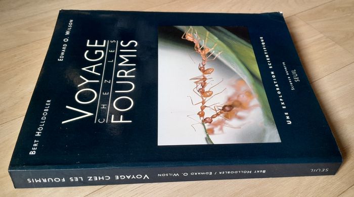 Voyage chez les fourmis - une exploration scientifique - photo numéro 2