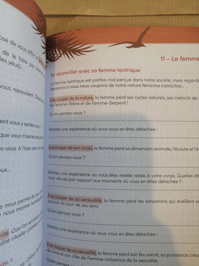 Cahiers spiritual'été féminin sacré - photo numéro 5