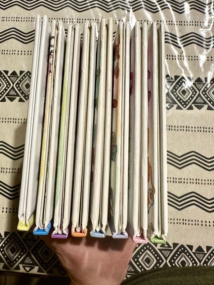 Lot livres princesse parfaite - photo numéro 3