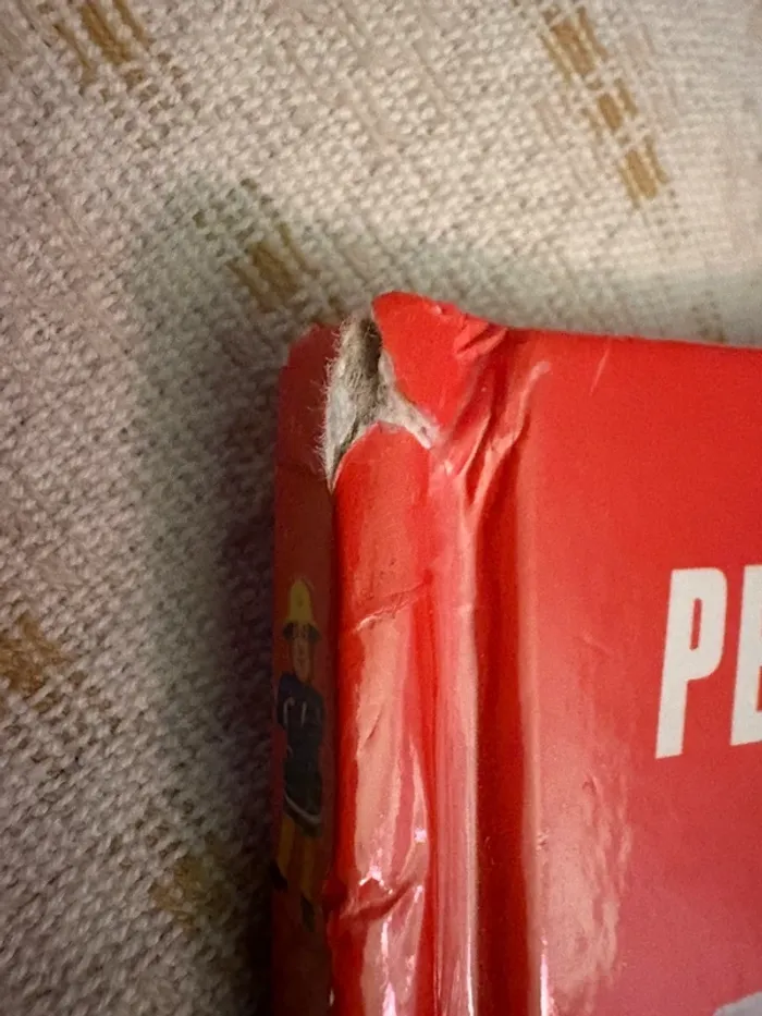 Livre Sam perdu dans l’avalanche - photo numéro 6