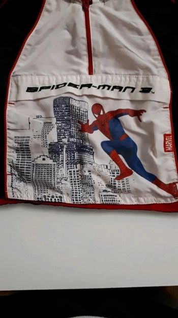 *Sweat capuche Spiderman 2 ans