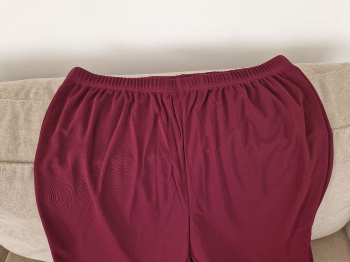 Pantalon couleur lie de vin Daxon - photo numéro 3