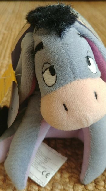 Winnie l'Ourson livre peluche Bourriquet