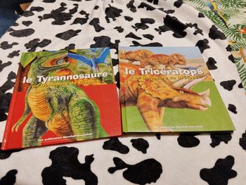 Lot livre dinosaure
