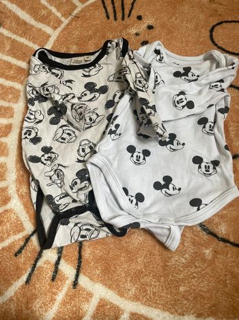 Lot bodies Mickey