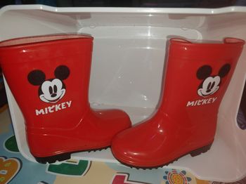 Botte Mickey