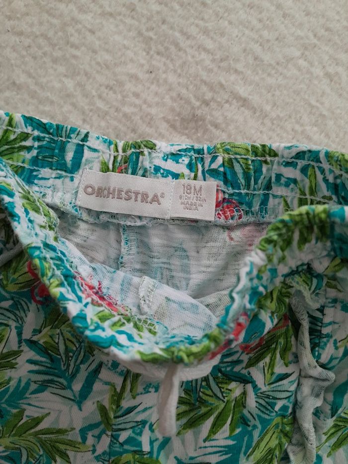 Short 18mois - photo numéro 2