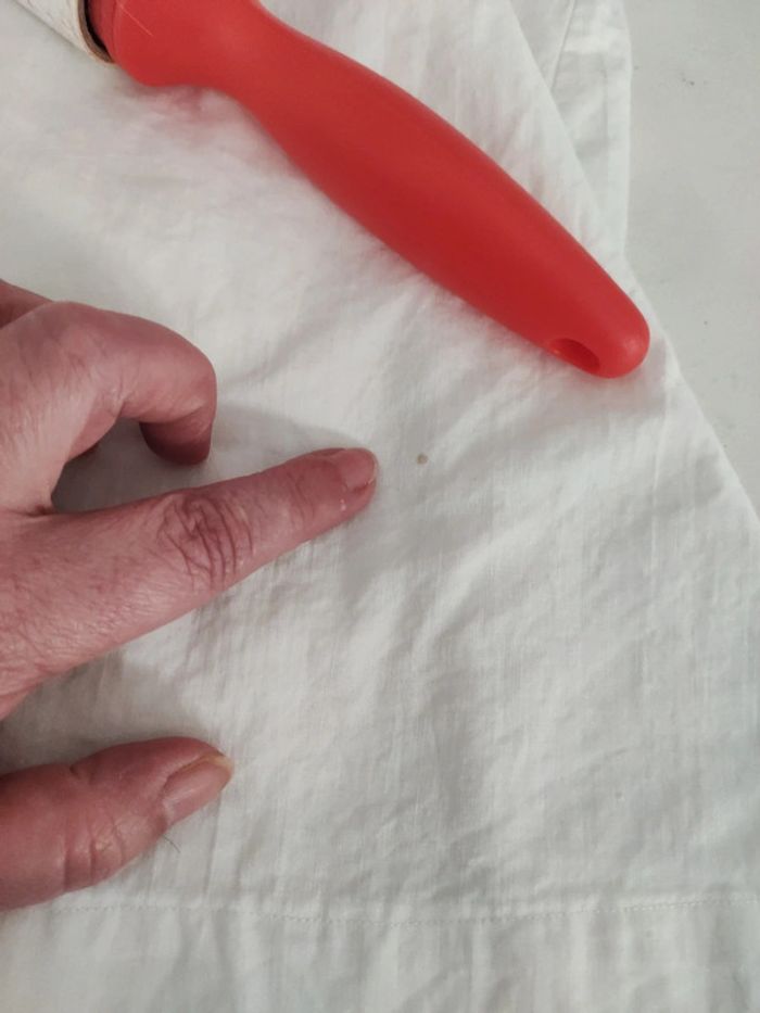 Chemise blanche brodée ancienne - photo numéro 11